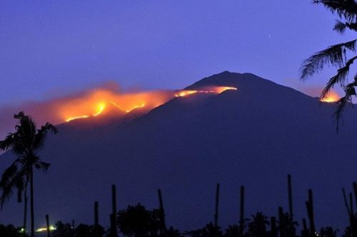Cảnh cháy rừng ở Java (Nguồn: AFP)
