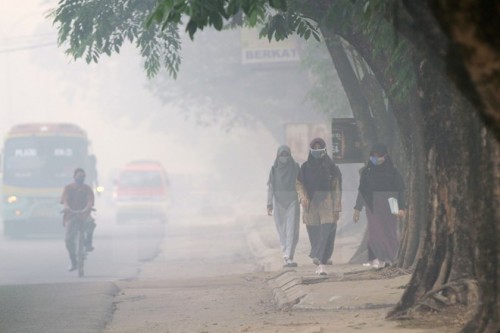 Khói mù do cháy rừng bao phủ Palembang, tỉnh Nam Sumatra, Indonesia ngày 8/10 (Nguồn: AFP/TTXVN)
