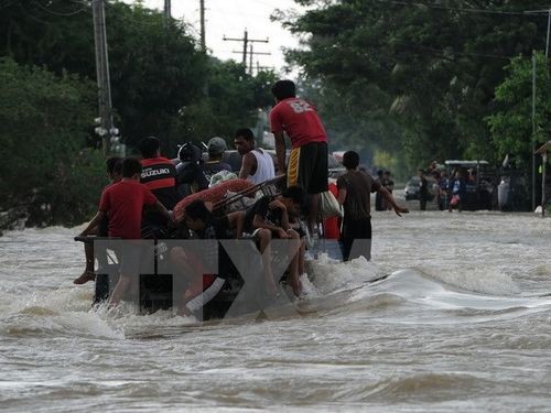 Cảnh ngập lụt sau những trận mưa lớn do bão Koppu tại La Paz, phía Bắc thủ đô Manila ngày 20/10 (Nguồn: AFP/TTXVN)