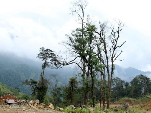Chuyển đổi rừng để khai thác mỏ ở huyện Bắc Mê, tỉnh Hà Giang. (Ảnh: Mai Mạnh/Vietnam+)