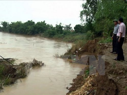 Đoạn bờ sông bị sạt lở đoạn qua thôn Phước Yên, xã Đại An, huyện Đại Lộc (Ảnh: Đoàn Hữu Trung/TTXVN)