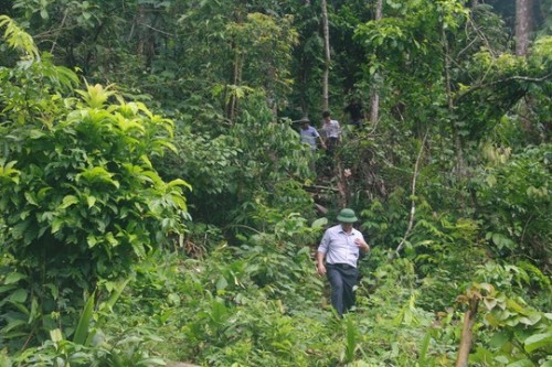 Vào rừng kiểm tra, ông Lê Trí Thanh, Phó chủ tịch UBND tỉnh Quảng Nam nghi ngờ cán bộ bảo vệ rừng tiếp tay lâm tặc