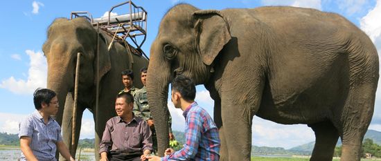 Anh Đàng Năng Long (giữa), người có nhiều voi nhất Tây Nguyên và cả nước, trò chuyện với PV Báo Lao Động vào tháng 10.2015 tại huyện Lắk, tỉnh Đắk Lắk
