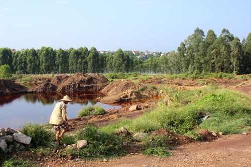 Đất bị suy thoái (Ảnh: Hoàng Văn Chiên/PanNature)