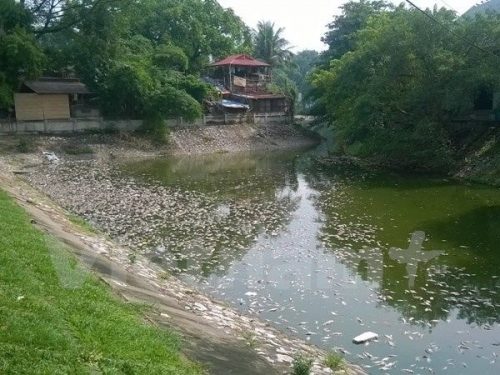 Hồ Thiền Quang đã từng xảy ra hiện tượng cá chết hàng loạt do ô nhiễm nguồn nước (Ảnh: Hùng Võ/Vietnam+)