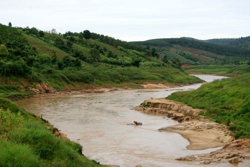 Ảnh minh họa: ThienNhien.Net