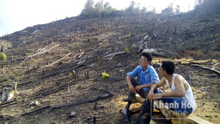 Một phần đất rừng vừa phát đốt