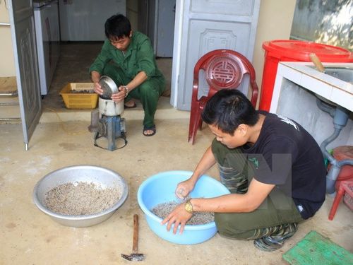 Nhân viên của Chương trình pha trộn thức ăn cho tê tê. (Ảnh: Ninh Đức Phương/TTXVN)