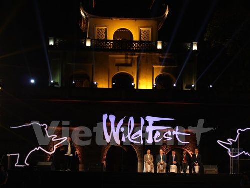 WildFest, lễ hội chiếu phim và ca nhạc ngoài trời về động vật hoang dã đầu tiên tại Việt Nam (Ảnh: PV/Vietnam+)