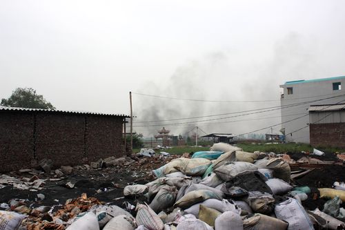 Ảnh minh họa: Hoàng Chiên/PanNature