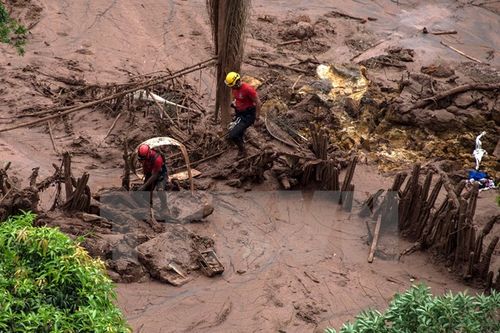 Lực lượng cứu hộ tìm kiếm người mất tích sau vụ vỡ đập tại làng Bento Rodrigues, Mariana, bang Minas Gerais, Brazil ngày 6/11. (Nguồn: AFP/TTXVN) 