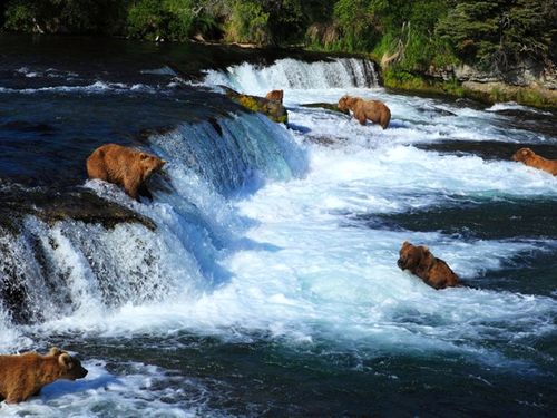 Vườn quốc gia và khu bảo tồn Katmai ở Alaska, Mỹ nổi tiếng với cảnh quan núi lửa tuyệt đẹp, tập trung số lượng lớn gấu và cá hồi. Tuy nhiên, biến đổi khí hậu và khai thác mỏ đang gây nguy hiểm cho hệ sinh thái quý giá của công viên.