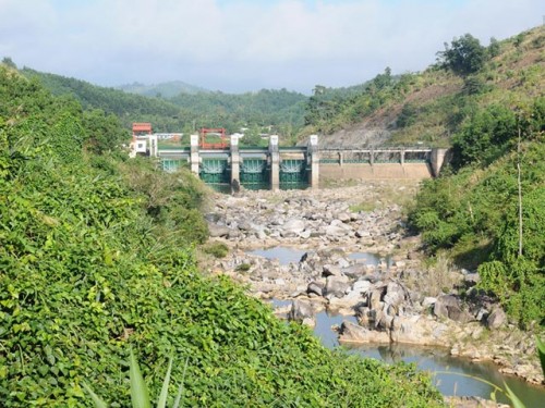 Thủy điện Sông Côn 2, Quảng Nam chây ỳ thực hiện trồng rừng thay thế (Ảnh: I.T)