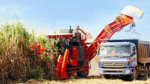 Doanh nghiệp Việt Nam tận dụng lợi thế khi đầu tư nông nghiệp ở nước ngoài (Ảnh minh họa)