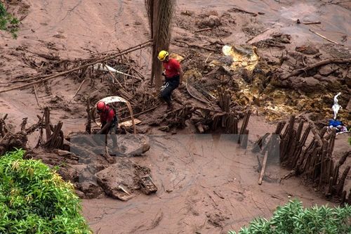Lực lượng cứu hộ tìm kiếm người mất tích sau vụ vỡ đập tại làng Bento Rodrigues, Mariana, bang Minas Gerais, Brazil ngày 6/11 (Nguồn: AFP/TTXVN)