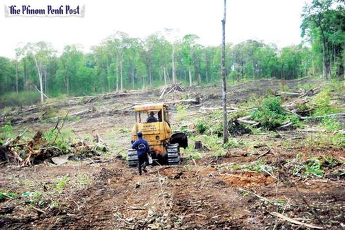 Một công ty đang san ủi đất rừng cho thuê tại tỉnh Ratanakirri. (Ảnh: Thời báo Phnompenh)