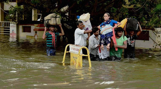 Mưa to gây lũ lụt ở TP Chennai ở bang Tamil Nadu - Ấn Độ, khiến 70 người chết hồi giữa tháng 11 (Ảnh: India Express)