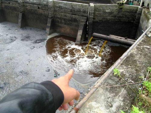 Bể nước xử lý nứt toác, đen kịt