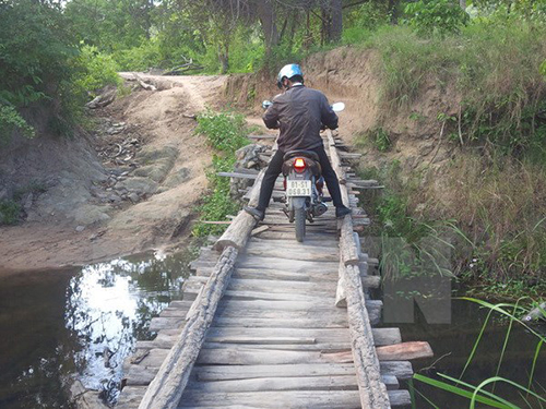 Cây cầu gỗ được bắc qua suối để vận chuyển gỗ. (Ảnh: Hoài Nam/TTXVN)