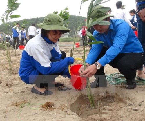 Ảnh minh họa: TTXVN