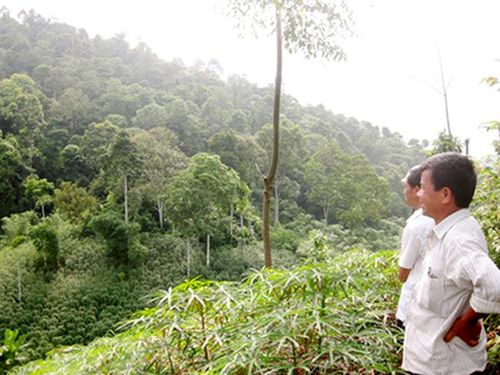 Trưởng bản Đặng Văn Quang (phải) luôn trăn trở với công tác giữ rừng bản Lọt (Ảnh: Kiều Lê)