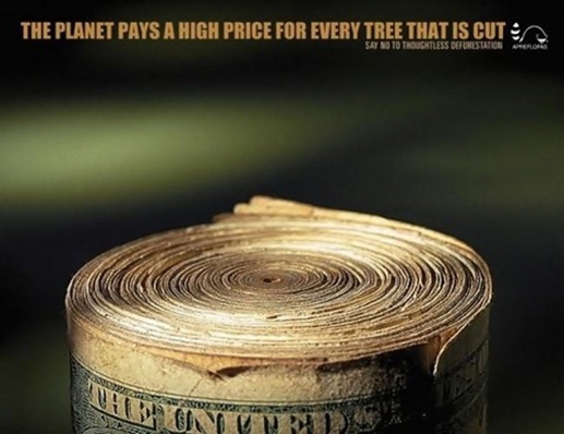 "The Planet pays a high price for every tree that is cut", chiến dịch kêu gọi bảo vệ rừng.