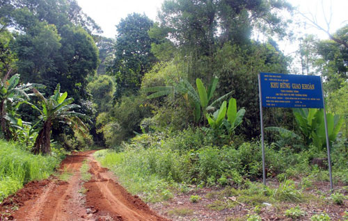 Hàng loạt sai phạm trong việc giao đất, giao rừng tại tỉnh Bình Phước
