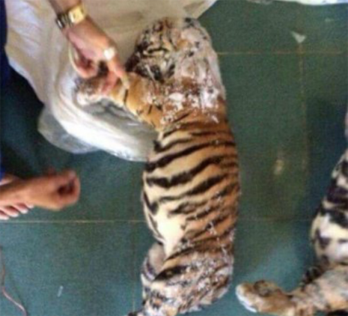 Hổ đông lạnh Chinh rao bán trên facebook