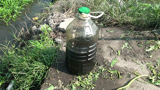 Dù đã được tuyên truyền là cấm không cho sử dụng trong các đợt tập huấn, nhưng tình trạng nông dân dùng nhớt thải trong việc trồng rau muống nước vẫn phổ biến tại các vùng nông nghiệp trên địa bàn TPHCM.