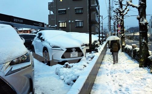 Tuyết phủ trắng đường phố tại thủ đô Tokyo, Nhật Bản (Nguồn: AFP/TTXVN)