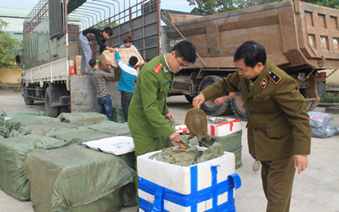 Lực lượng chức năng kiểm tra lô hàng hóa (Nguồn: Quản lý thị trường tỉnh Quảng Ninh)