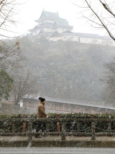 Tuyết rơi dày ở TP Wakayama – Nhật Bản hôm 24-1 (Ảnh : Kyodo)