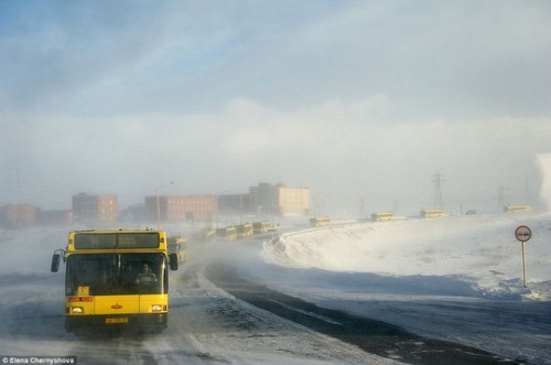 Khi bão tuyết xảy ra, các phương tiện giao thông công cộng sẽ di chuyển nối đuôi nhau. Một hàng khoảng 15-20 chiếc xe buýt vận chuyển công nhân từ thành phố tới nơi làm việc. Nếu một chiếc bị hư, hành khách sẽ chuyển sang chiếc khác. Đoàn xe này chỉ lưu thông 3 lần 1 ngày