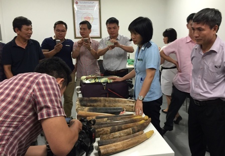 Vụ bắt giữ 100kg ngà voi, sừng tê giác do Đội 1 phối hợp phát hiện bắt giữ tại sân bay Nội Bài trong tháng 8-2015.