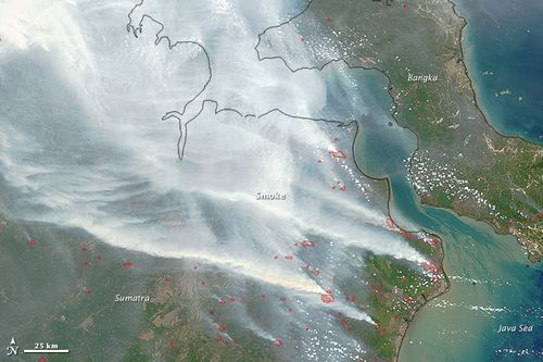 Các điểm đỏ được thiết bị cảm ứng MODIS của NASA xác định là nhiệt độ cao bất thường hoặc các đám cháy. Khói bao trùm toàn bộ 2 hòn đảo, đe dọa sức khỏe của cả quốc gia này và các nước láng giềng. (Ảnh: NASA)