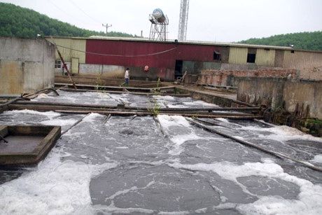 Mùi hôi thối và nguồn nước thải độc hại từ Công ty CP sắn Sơn Sơn khiến người dân xung quanh khốn đốn.
