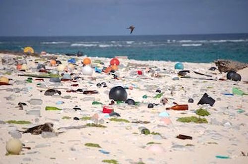 Nhựa trên một bờ biển thuộc Quần đảo Hawaii (Ảnh: Susan White/ US Fish and Wildlife Service)