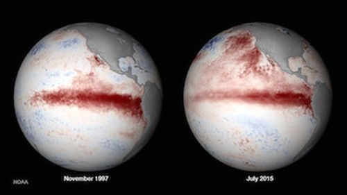 Nhiệt độ khác thường trên bề mặt Thái Bình Dương trong các trận El Nino vào năm 1997 và 2015 (Ảnh: NOAA)
