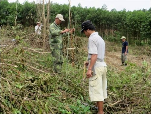 Tập huấn chăm sóc cây ăn quả có múi 