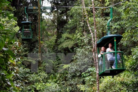 Rừng nhiệt đới thuộc Công viên quốc gia Braulio Carrillo, Costa Rica. (Nguồn: THX/TTXVN) 