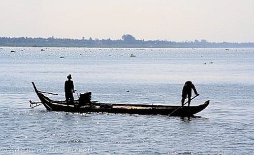 Thủy sản sông Mê Công mang lại 17 tỷ USD/năm