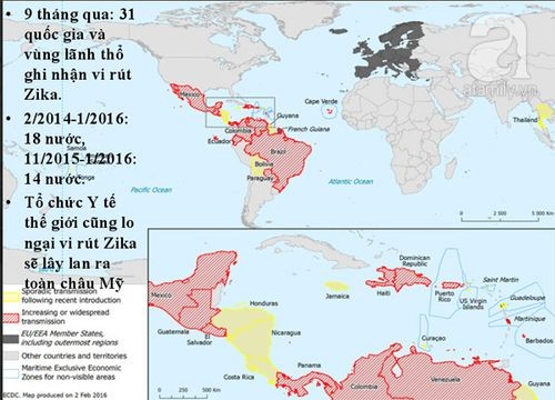 Bản đồ cho thấy các nước đang bị zika tấn công.