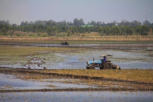 Trước đây, sau mùa lũ, nông dân chỉ tháo nước ra để chuẩn bị xuống giống, còn năm nay phải bơm nước vào...