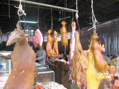 Xử lý nghiêm việc bày bán thịt động vật hoang dã trái pháp luật trong các lễ hội (Nguồn: nongnghiep.vn)