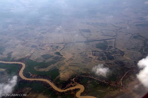 Những cánh đồng lúa nhìn từ trên cao tại Java, Indonesia – nơi trước đây từng là những cánh rừng ngập mặn. (Ảnh: Rhett A. Butler)