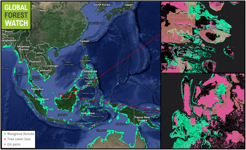 Cơ quan Quan trắc Lâm nghiệp toàn cầu mô tả việc trồng cọ dầu trên quy mô công nghiệp xâm lấn diện tích rừng ngập mặn ở Indonesia (trên) và Malaysia Borneo (dưới).