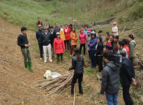Cán bộ dự án hướng dẫn người dân cách trồng băng cỏ (Ảnh: CIAT)