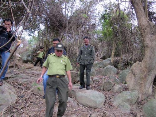Đại diện các cơ quan chức năng kiểm tra rừng Sơn Trà, sau khi rừng này bị khai phá trái phép cả tháng trời