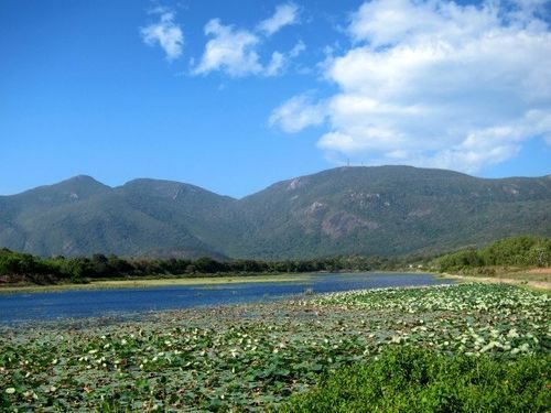 Hồ sen trong Vườn quốc gia Côn Đảo (Ảnh: chinhphu.vn)