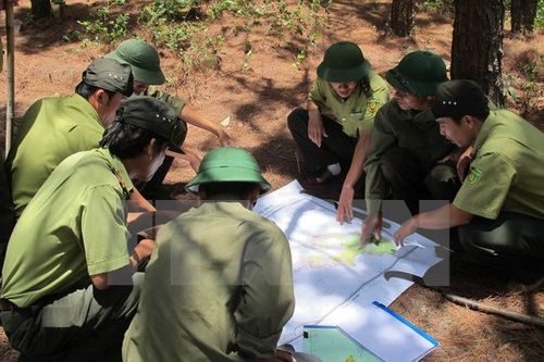 Lực lượng kiểm lâm cùng với các chủ rừng kiểm tra phương án phòng chống cháy rừng trong mùa khô. (Ảnh: Văn Thông/TTXVN)